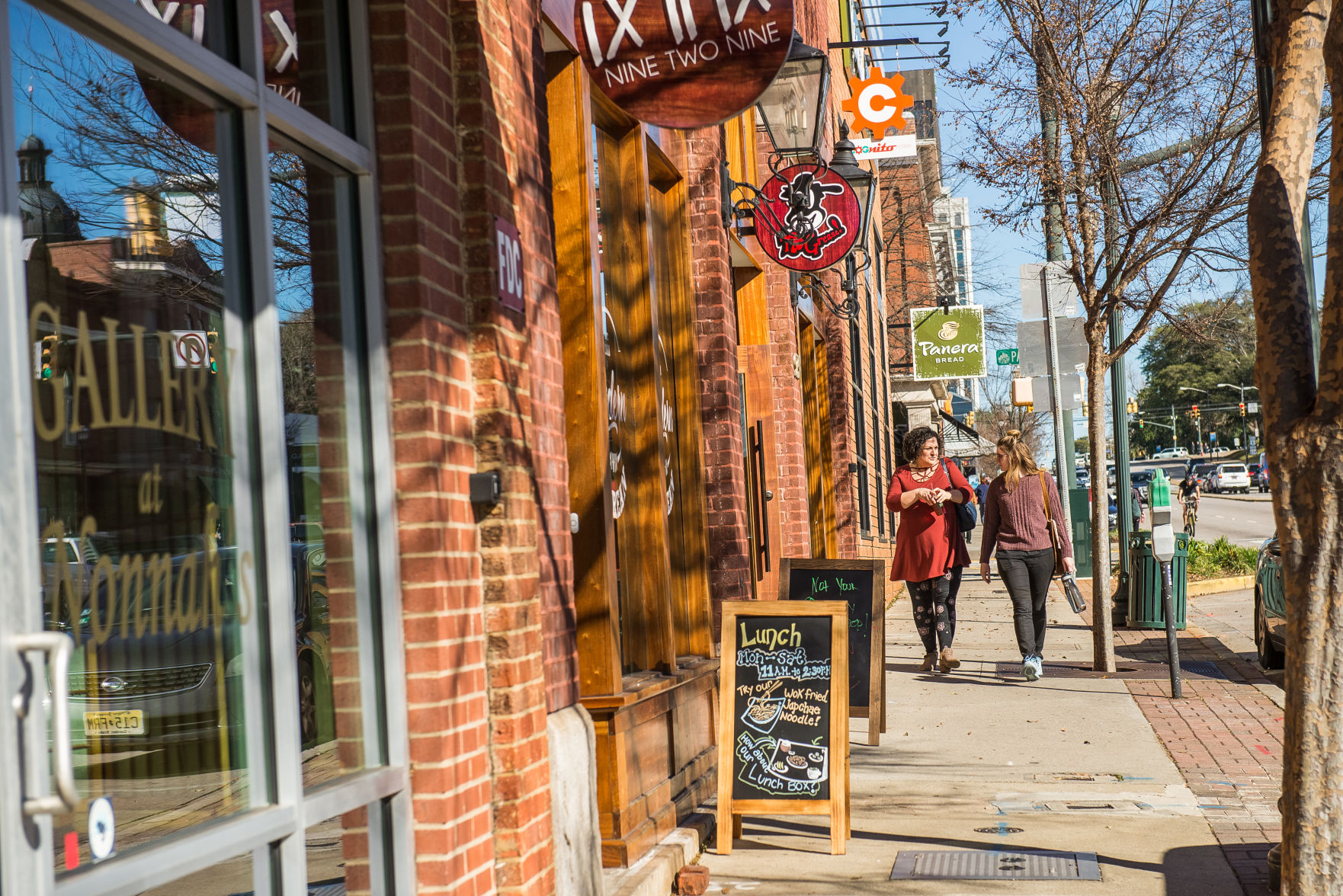 The Vista Jan 2019
